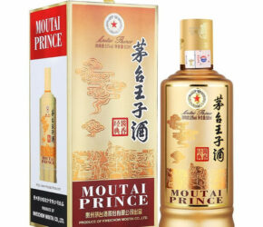 mt-prince3